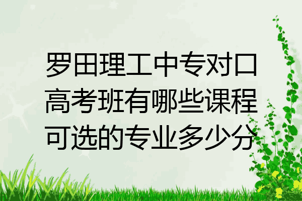 罗田理工中专对口高考班有哪些课程可选的专业多少分
