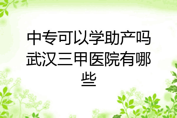 中专可以学助产吗武汉三甲医院有哪些