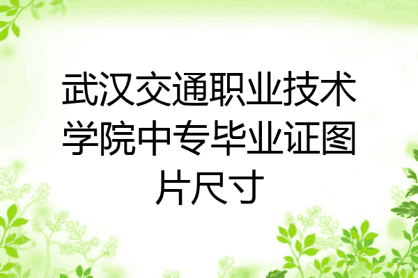 武汉交通职业技术学院中专毕业证图片尺寸