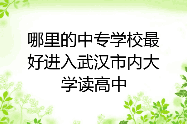 哪里的中专学校最好进入武汉市内大学读高中