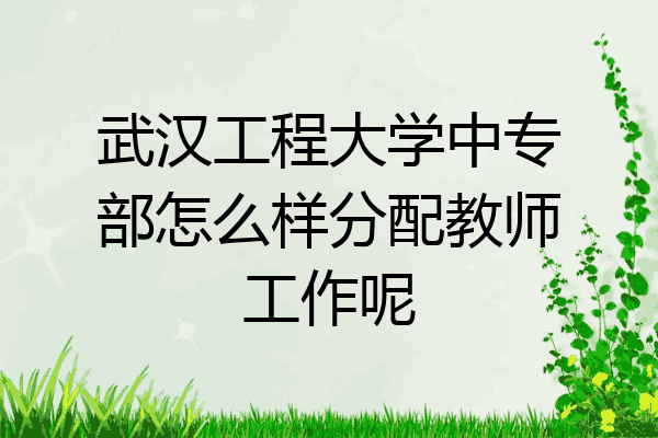 武汉工程大学中专部怎么样分配教师工作呢