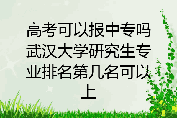 高考可以报中专吗武汉大学研究生专业排名第几名可以上