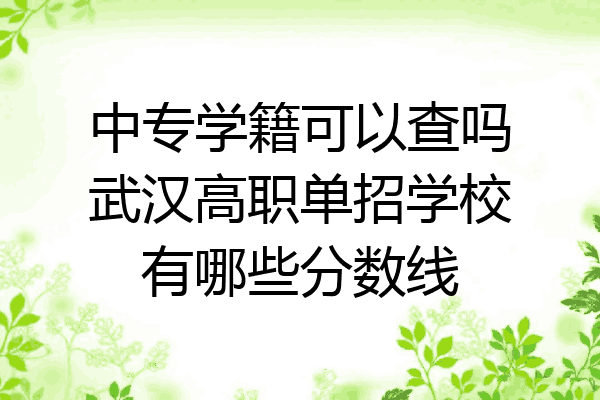 中专学籍可以查吗武汉高职单招学校有哪些分数线