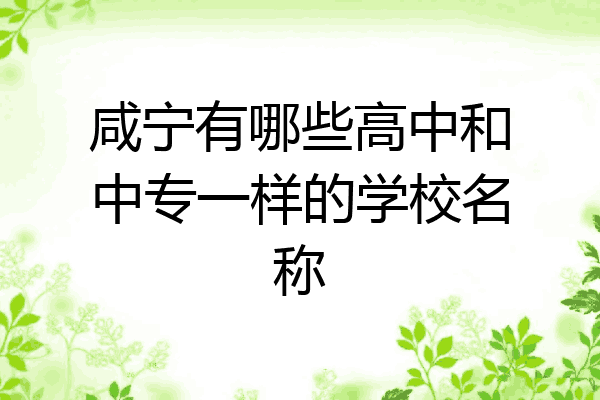 咸宁有哪些高中和中专一样的学校名称