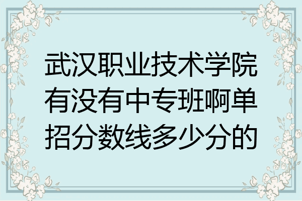 武汉职业技术学院有没有中专班啊单招分数线多少分的