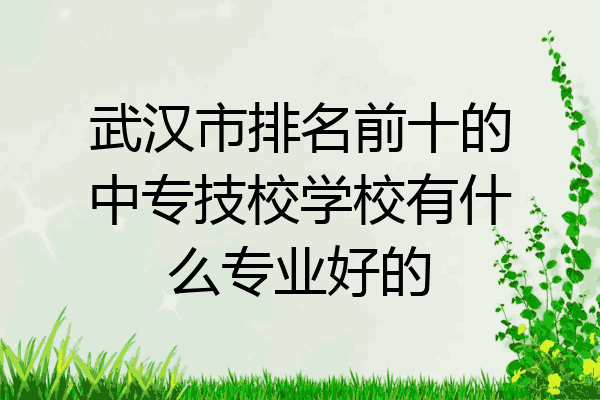 武汉市排名前十的中专技校学校有什么专业好的