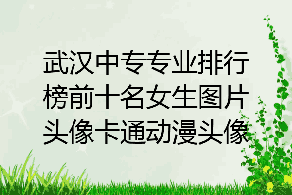 武汉中专专业排行榜前十名女生图片头像卡通动漫头像