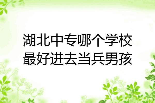 湖北中专哪个学校最好进去当兵男孩