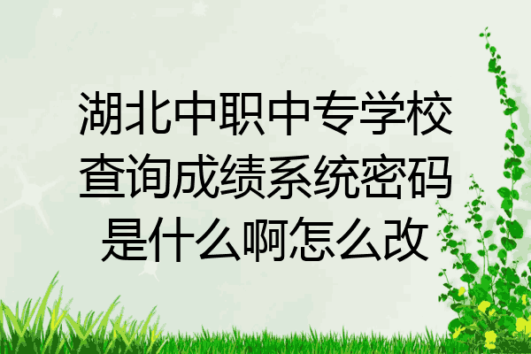 湖北中职中专学校查询成绩系统密码是什么啊怎么改