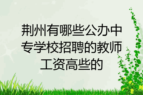 荆州有哪些公办中专学校招聘的教师工资高些的