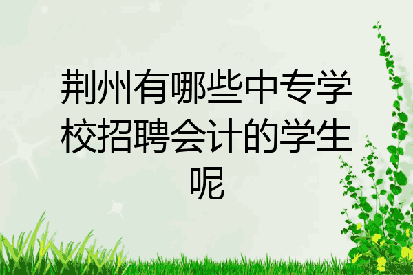 荆州有哪些中专学校招聘会计的学生呢