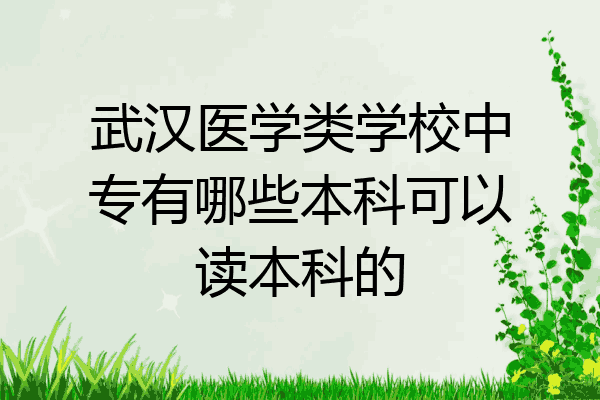 武汉医学类学校中专有哪些本科可以读本科的