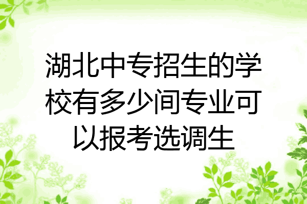 湖北中专招生的学校有多少间专业可以报考选调生