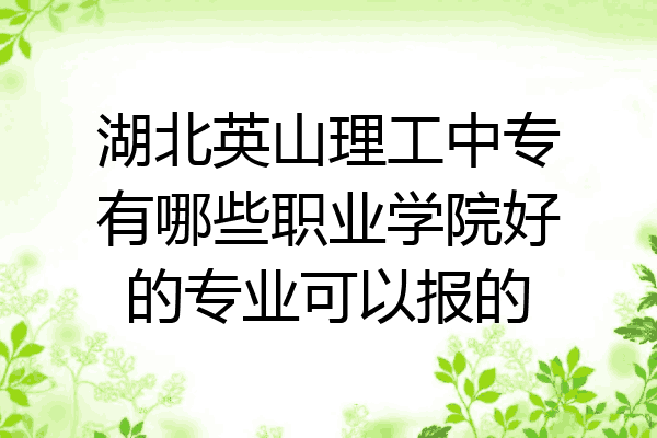 湖北英山理工中专有哪些职业学院好的专业可以报的