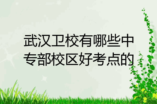 武汉卫校有哪些中专部校区好考点的