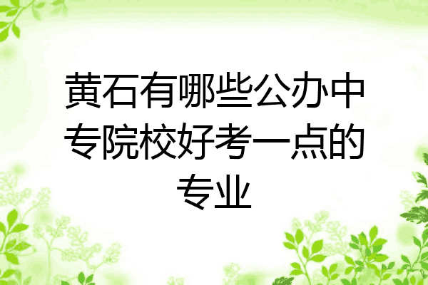 黄石有哪些公办中专院校好考一点的专业