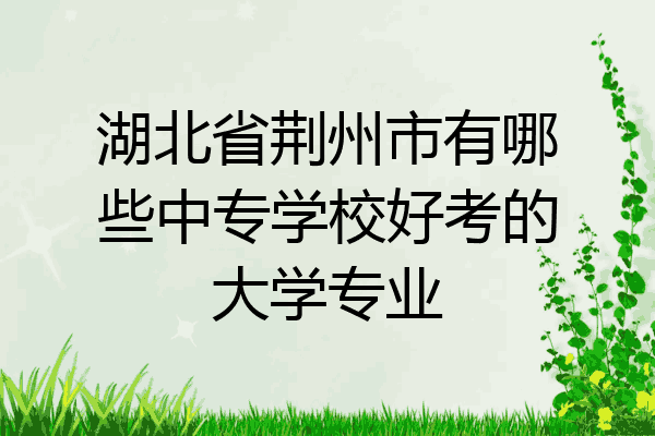 湖北省荆州市有哪些中专学校好考的大学专业