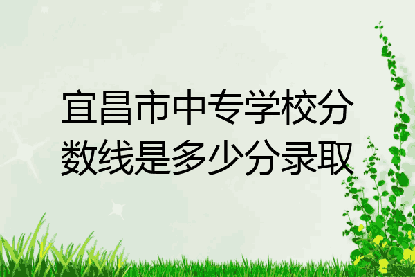 宜昌市中专学校分数线是多少分录取