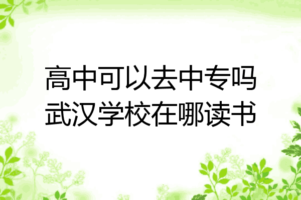 高中可以去中专吗武汉学校在哪读书