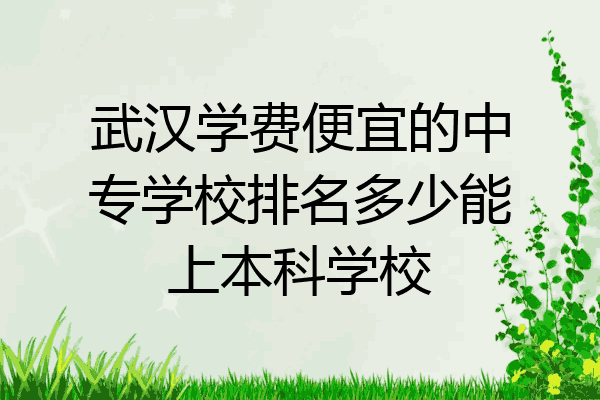 武汉学费便宜的中专学校排名多少能上本科学校