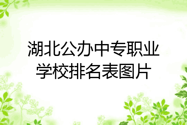 湖北公办中专职业学校排名表图片