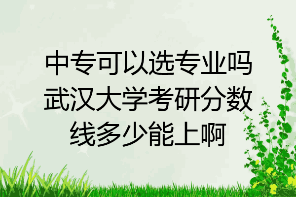中专可以选专业吗武汉大学考研分数线多少能上啊