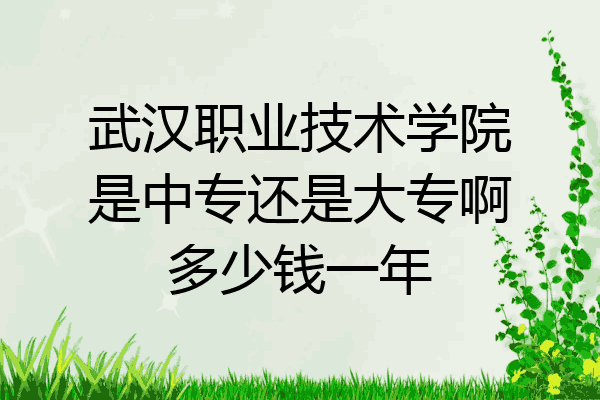 武汉职业技术学院是中专还是大专啊多少钱一年
