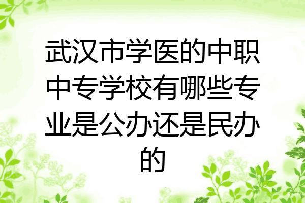 武汉市学医的中职中专学校有哪些专业是公办还是民办的
