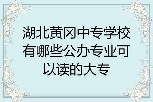 湖北黄冈中专学校有哪些公办专业可以读的大专
