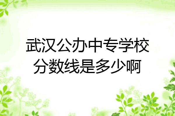 武汉公办中专学校分数线是多少啊