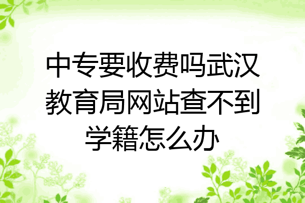 中专要收费吗武汉教育局网站查不到学籍怎么办