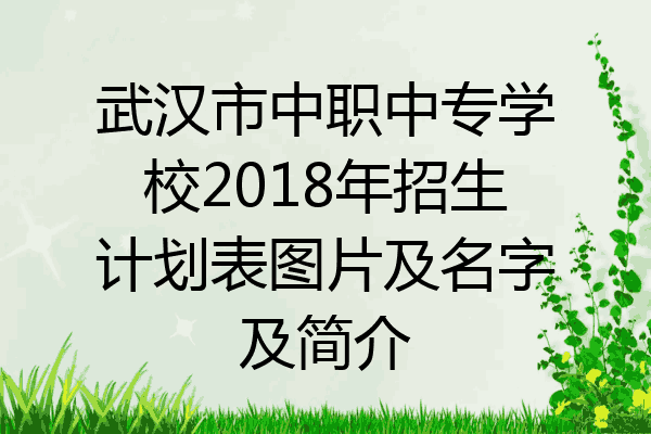 武汉市中职中专学校2018年招生计划表图片及名字及简介