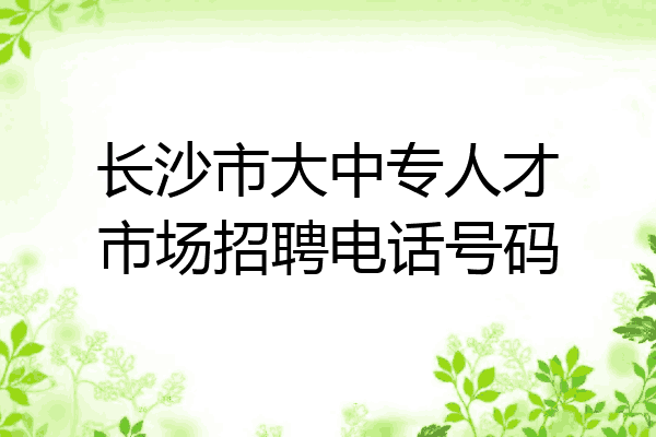 长沙市大中专人才市场招聘电话号码