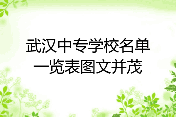 武汉中专学校名单一览表图文并茂