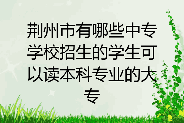 荆州市有哪些中专学校招生的学生可以读本科专业的大专