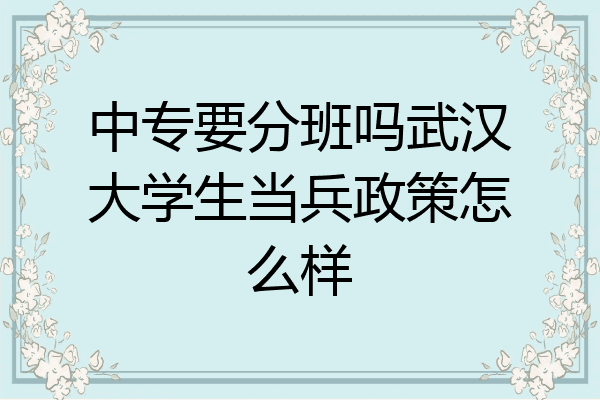 中专要分班吗武汉大学生当兵政策怎么样