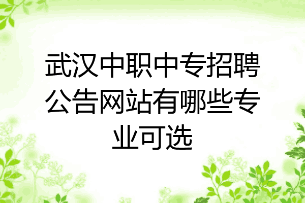 武汉中职中专招聘公告网站有哪些专业可选