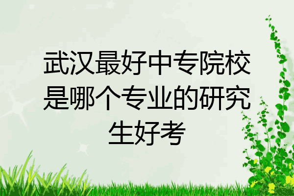 武汉最好中专院校是哪个专业的研究生好考