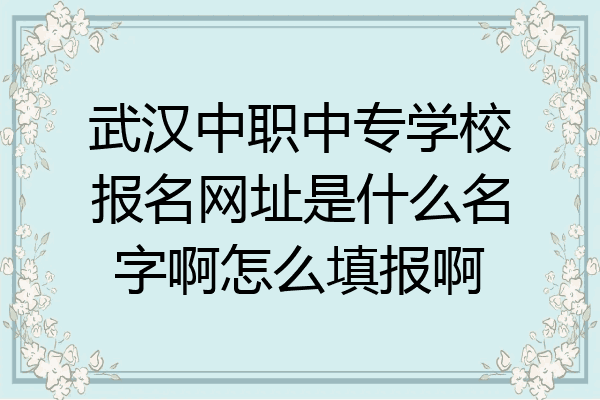 武汉中职中专学校报名网址是什么名字啊怎么填报啊