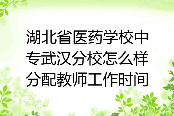 湖北省医药学校中专武汉分校怎么样分配教师工作时间