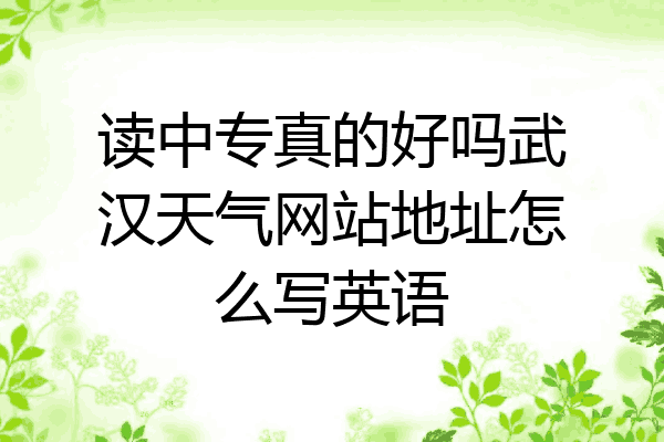 读中专真的好吗武汉天气网站地址怎么写英语