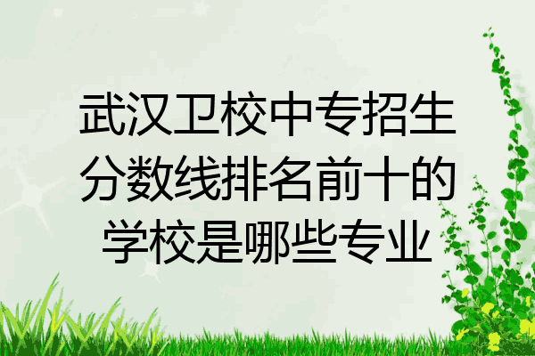 武汉卫校中专招生分数线排名前十的学校是哪些专业
