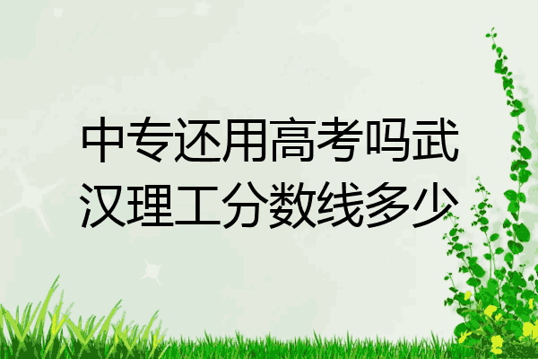 中专还用高考吗武汉理工分数线多少