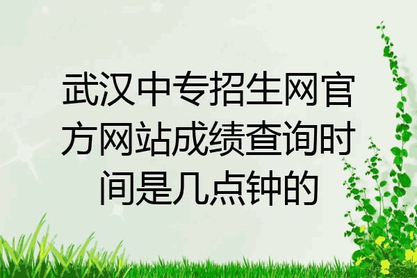 武汉中专招生网官方网站成绩查询时间是几点钟的
