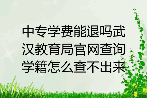 中专学费能退吗武汉教育局官网查询学籍怎么查不出来