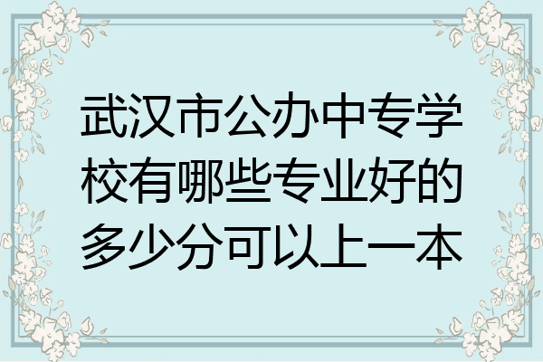 武汉市公办中专学校有哪些专业好的多少分可以上一本