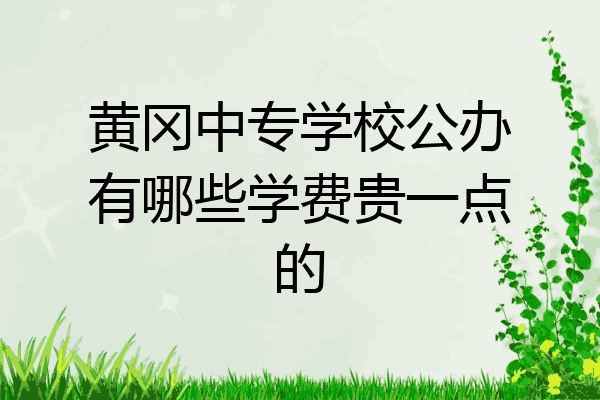 黄冈中专学校公办有哪些学费贵一点的