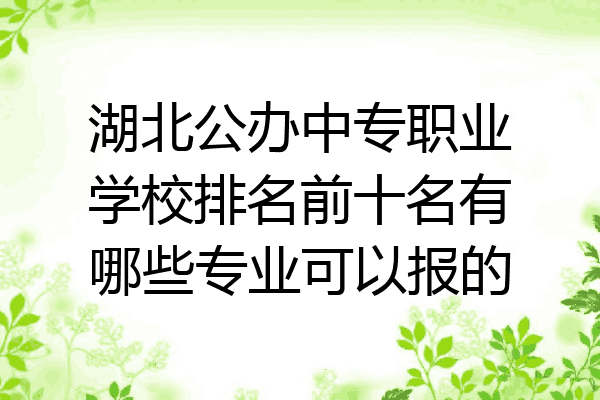 湖北公办中专职业学校排名前十名有哪些专业可以报的