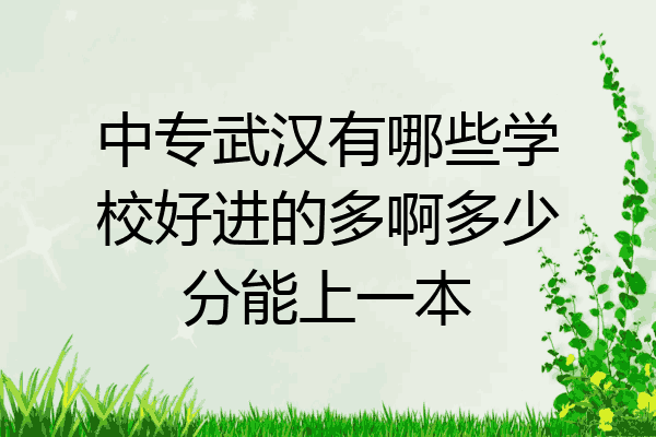 中专武汉有哪些学校好进的多啊多少分能上一本