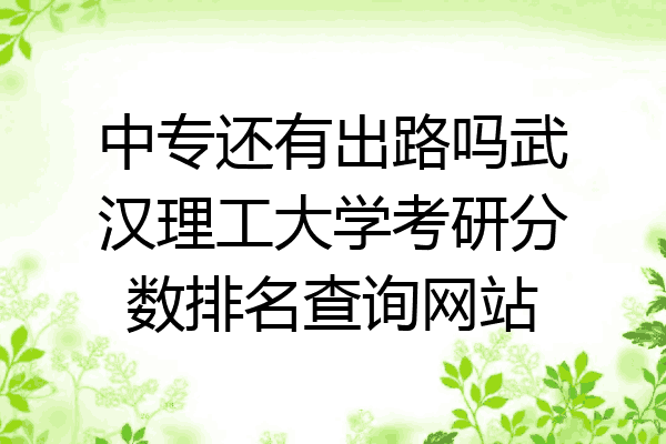 中专还有出路吗武汉理工大学考研分数排名查询网站